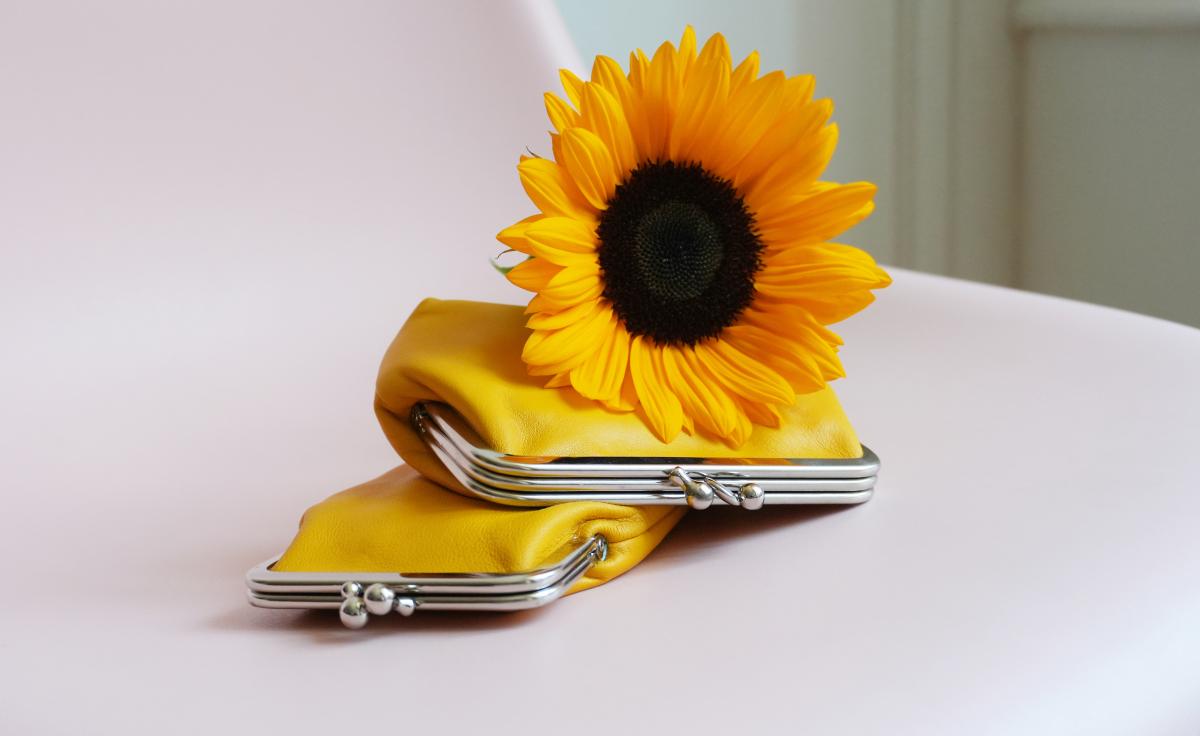 Sonnenblume